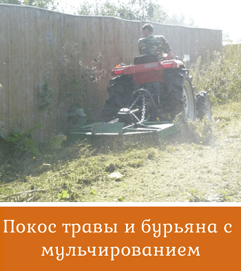 pokos-s-mulchirovaniem Покос травы и бурьяна мини трактором с мульчированием