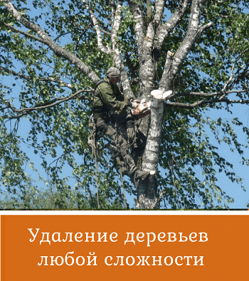 udalenie-derevev Удалить аварийное дерево