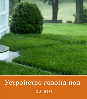 ustrojstvo-gazona-pod-klyuch Устройство газона под ключ