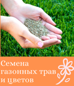 Семена газонных трав и цветов